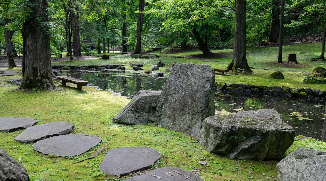 Parque Kaguraoka