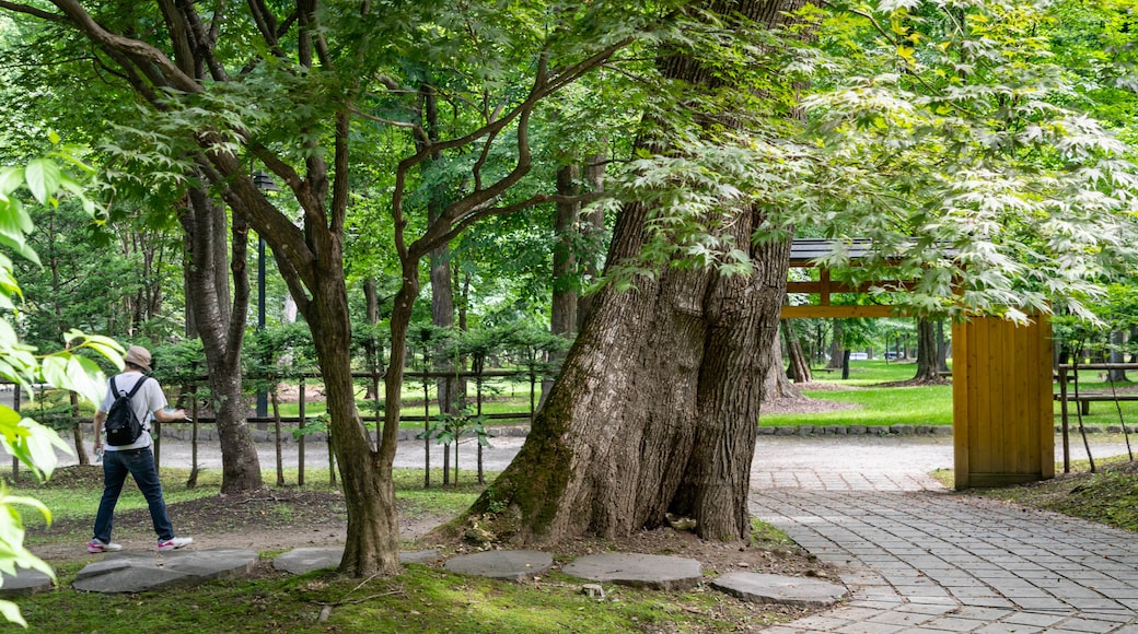 神楽岡公園