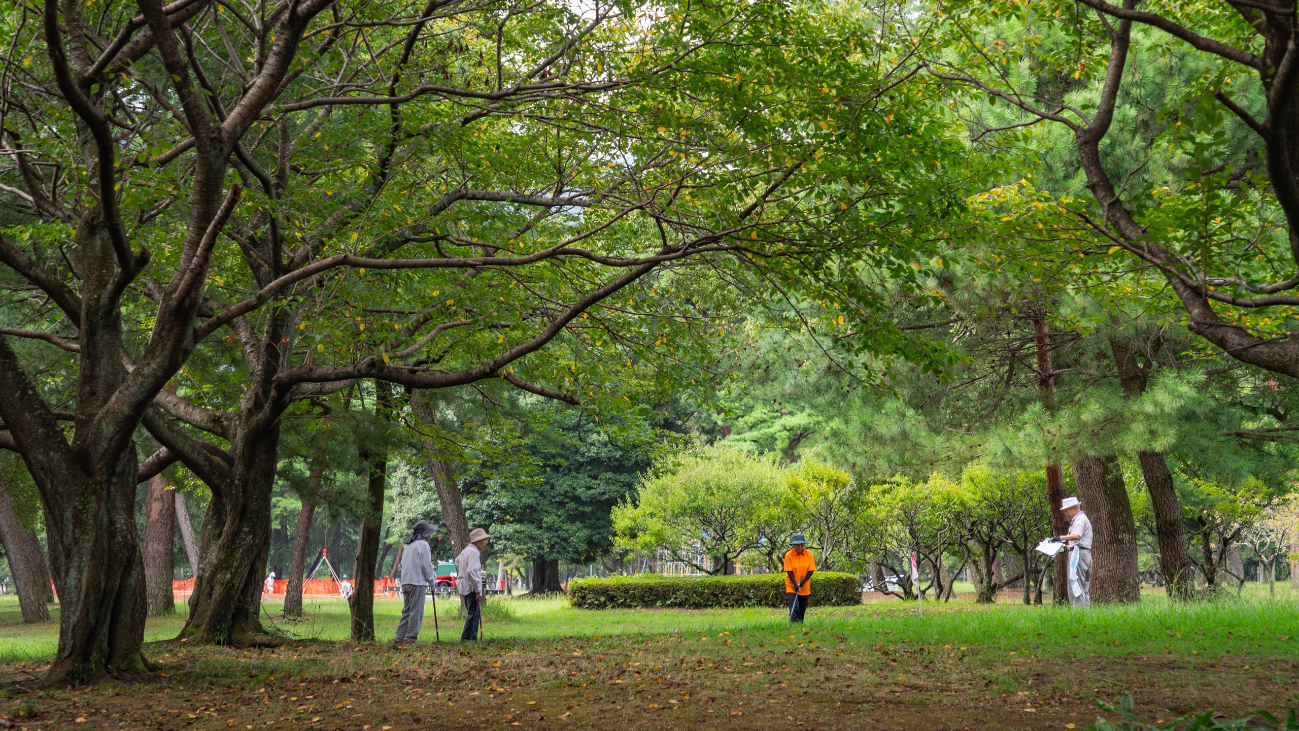 Hike through the bamboo forest, marvel at the lanterns and enjoy a picnic beneath a cherry blossom tree in this hilly park in central Beppu.