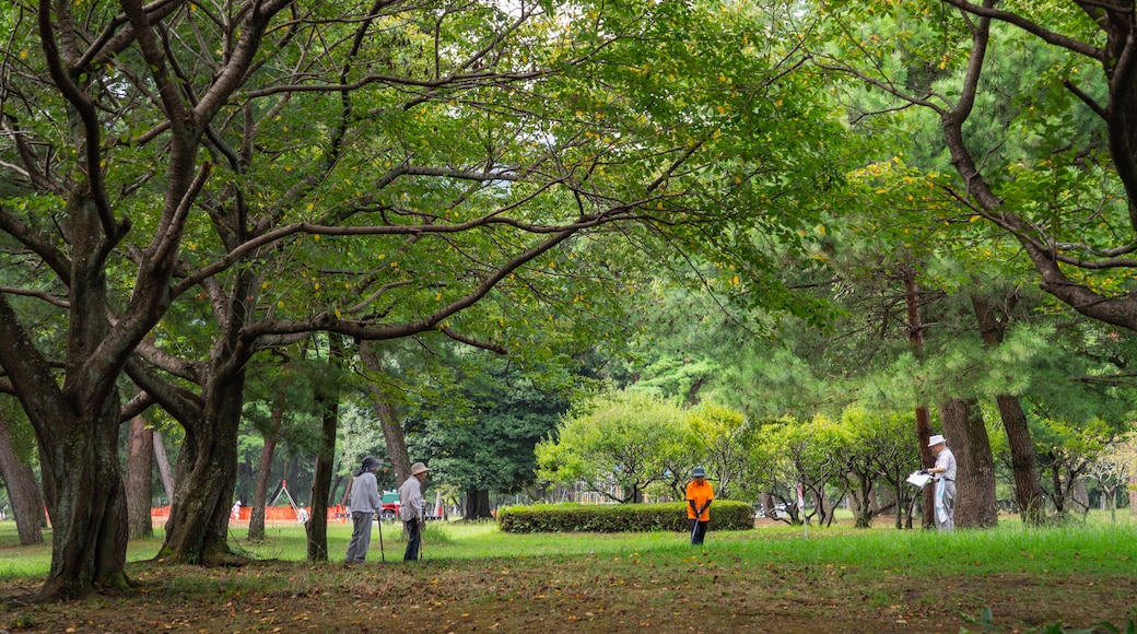 Park van Beppu