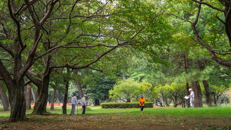 Park van Beppu