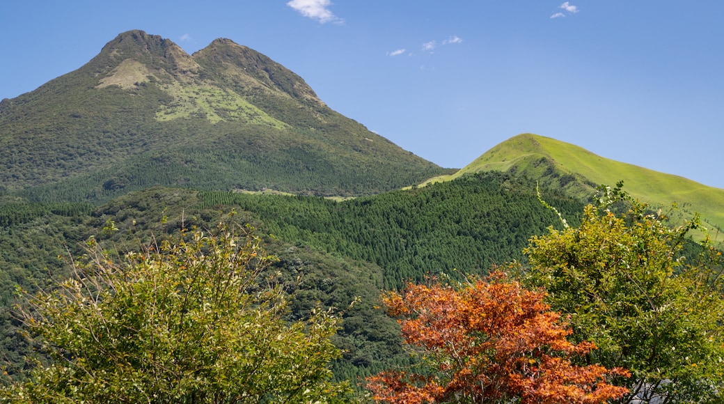 由布山