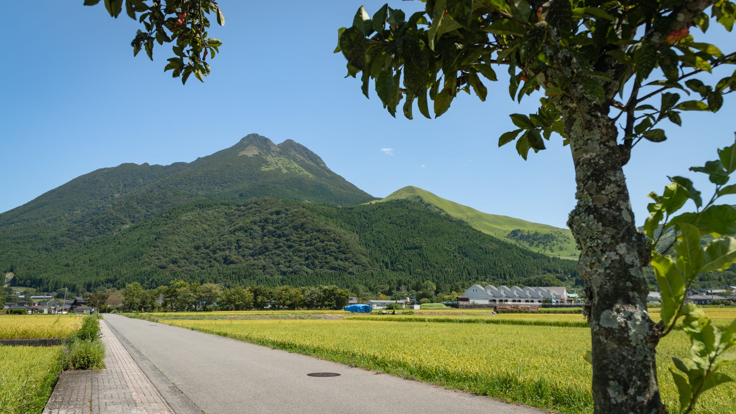 湯布院溫泉由布岳熱門旅遊景點 22 由布岳觀光景點推薦 Expedia Com Tw
