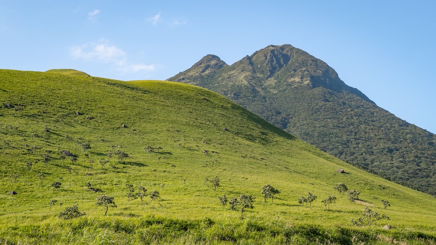 Monte Yufu
