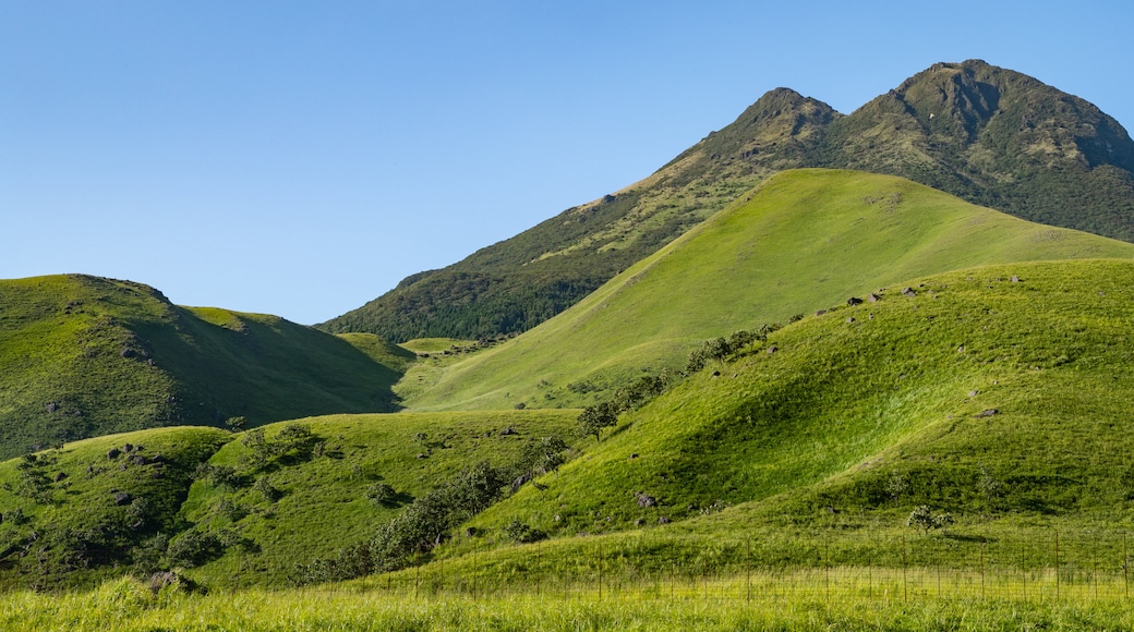 由布山