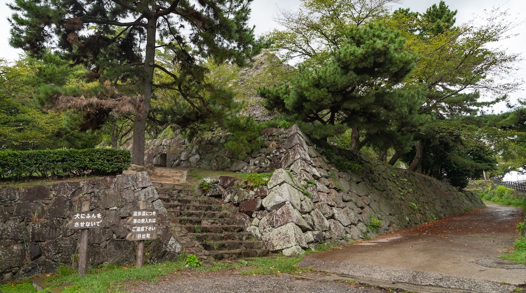 Burg von Hiji