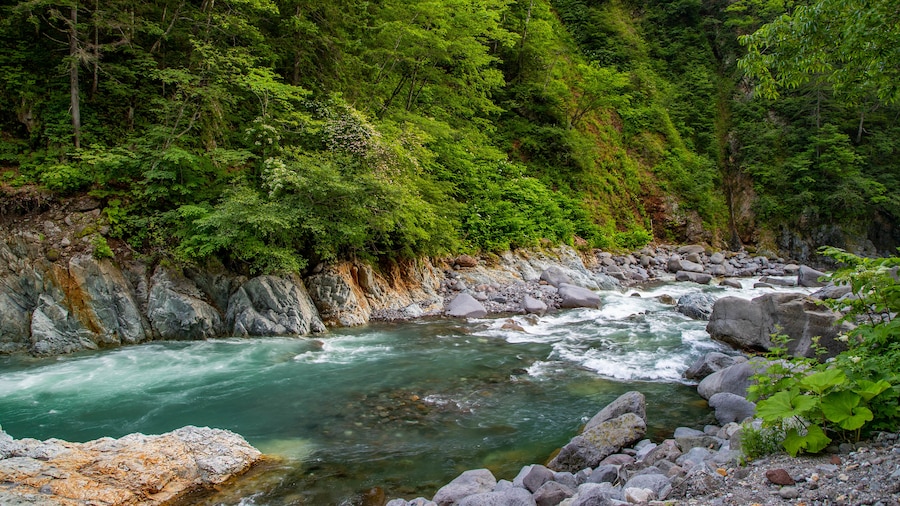 Gorges de Tenninkyo