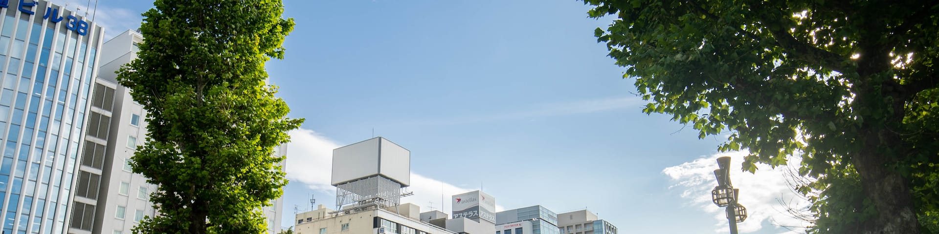 Odori