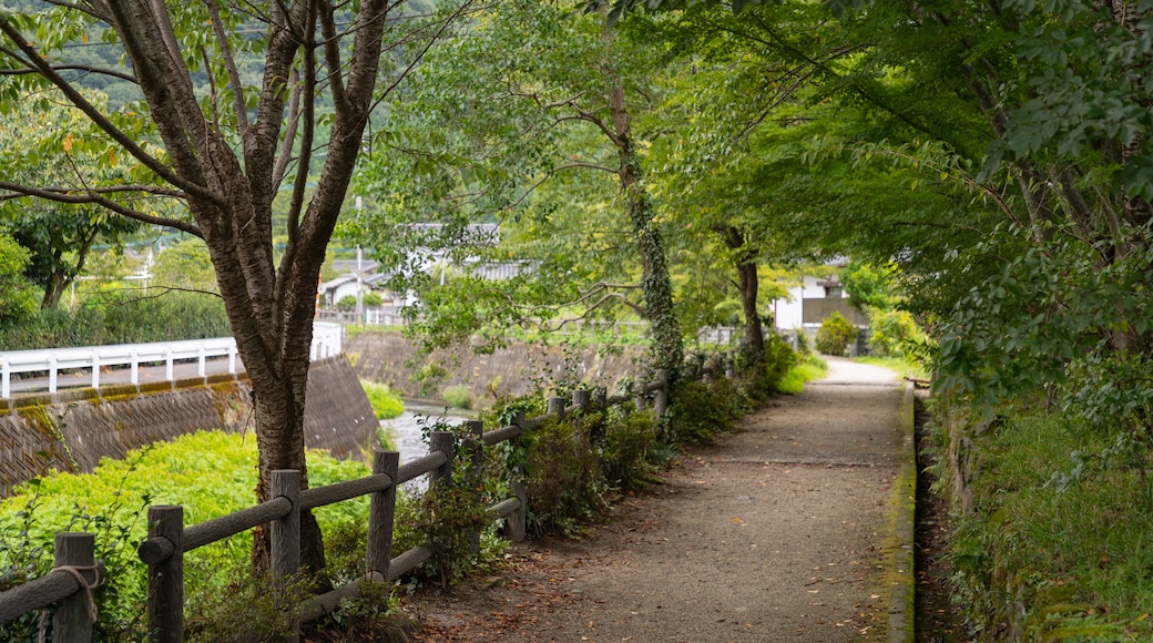 Yufuin Onsen