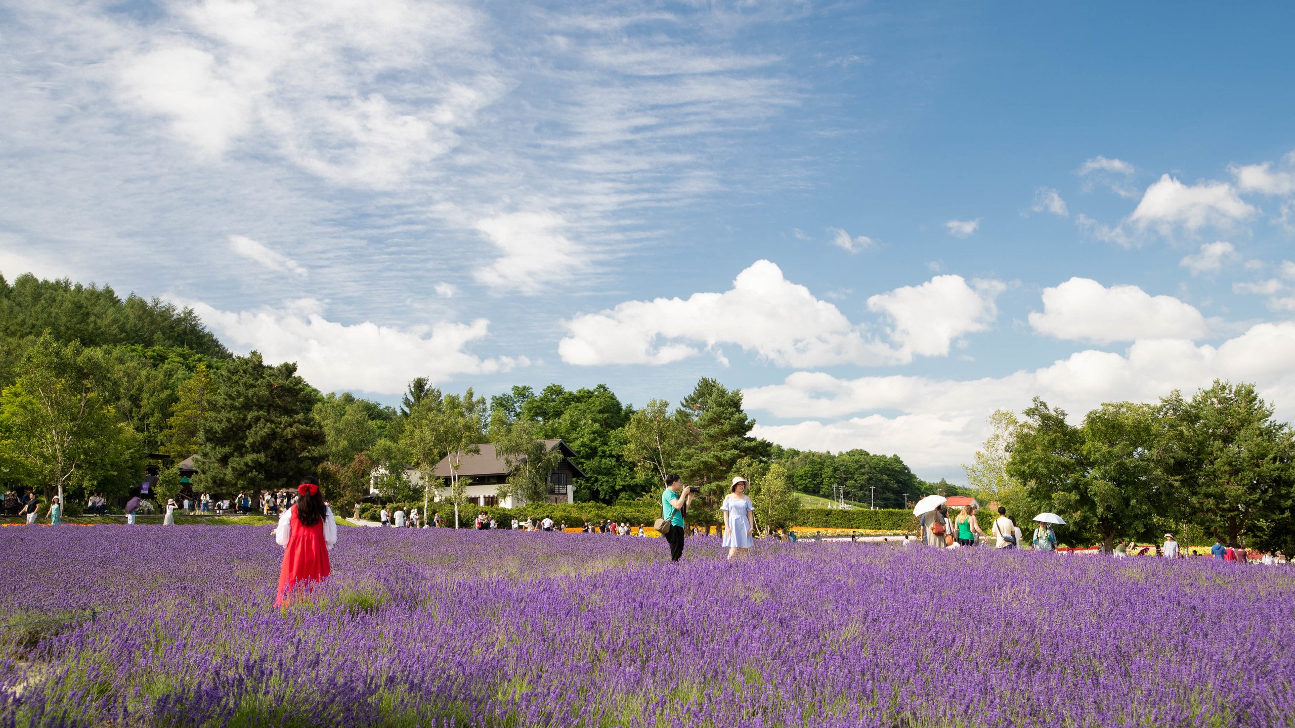 Exploración del Jardín de Lavandas en Nakafurano