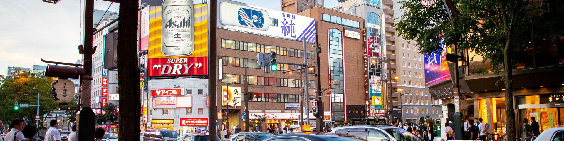 Susukino, Sapporo, Hokkaido Prefecture, Japan