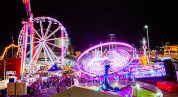 RNA Showgrounds featuring rides and night scenes