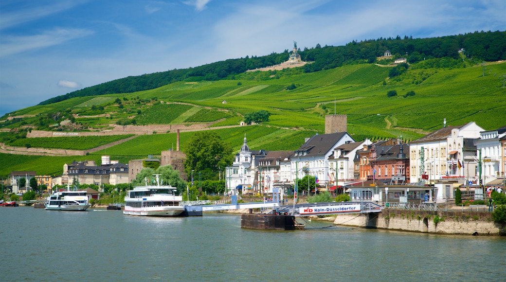 Rheingau Wine Region which includes a small town or village, a lake or waterhole and tranquil scenes