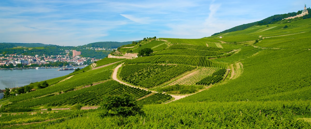 Rheingau Wine Region which includes farmland, tranquil scenes and landscape views