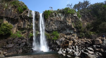 Jeongbang Waterfall which includes a waterfall and a gorge or canyon