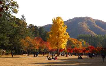 チュンチョン観光ガイド 定番人気スポットを参考に自分にピッタリの観光プランを立てよう エクスペディア