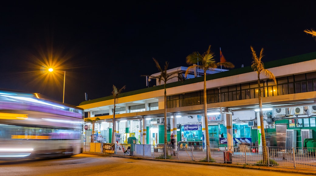 Hung Hom Star Ferry Pier featuring night scenes