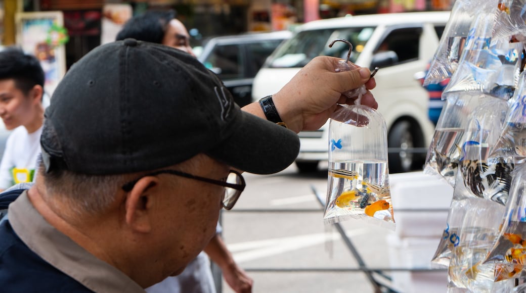 Goldfish Market featuring markets and marine life as well as an individual male