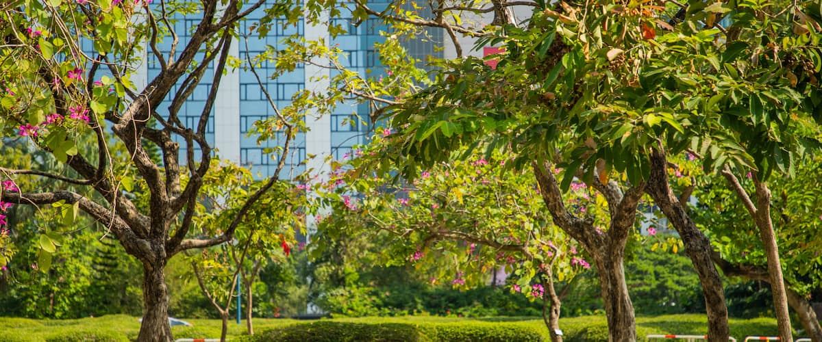 Kowloon Park showing a garden as well as a couple