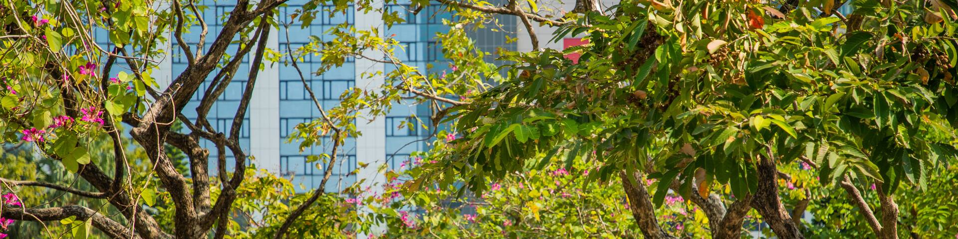 Kowloon Park showing a garden as well as a couple