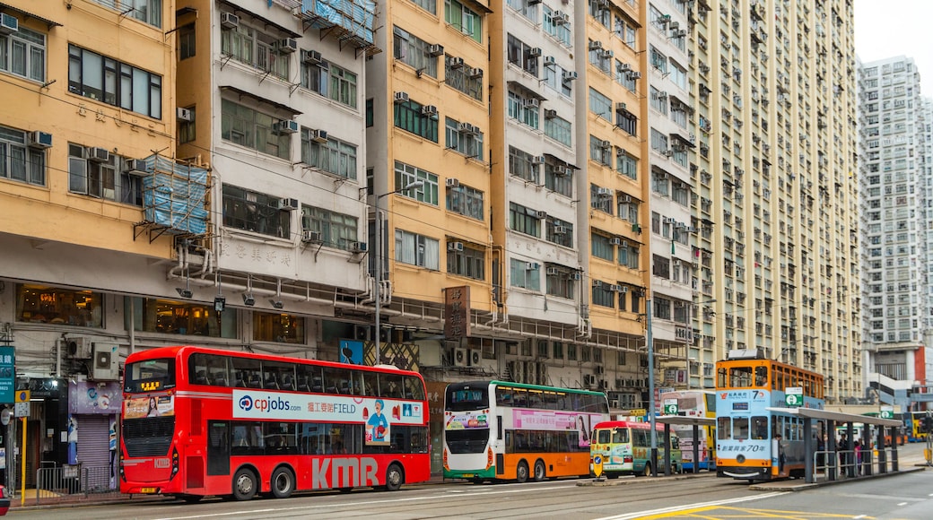 Shek O showing a city and street scenes