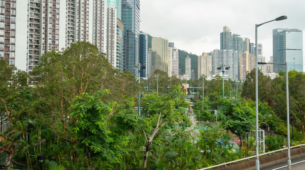 Quarry Bay showing a city