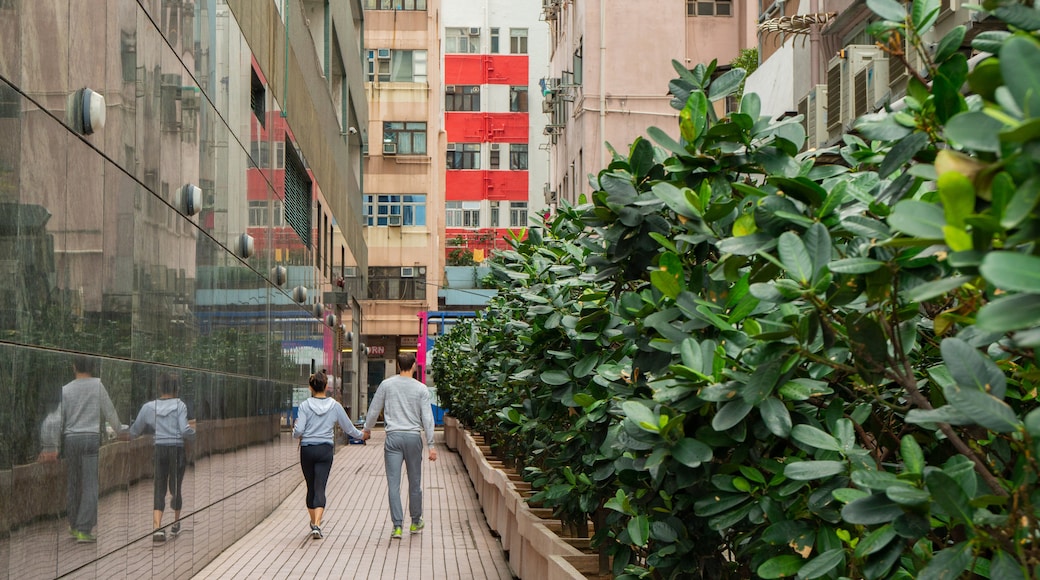 Kennedy Town showing street scenes and a city as well as a couple