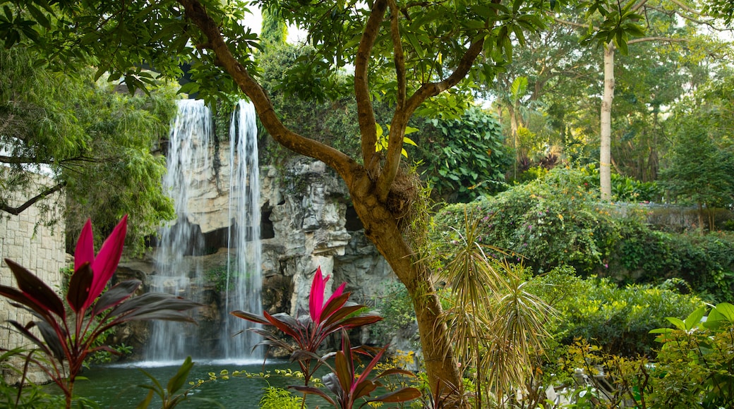 Hong Kong Park showing a waterfall and a garden