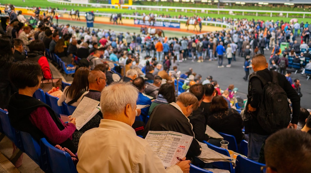 Happy Valley Race Course showing a sporting event as well as a large group of people