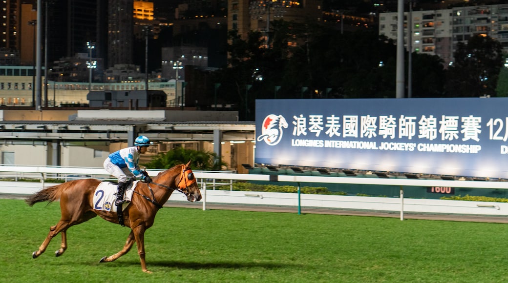 Happy Valley Race Course which includes horseriding, land animals and a sporting event