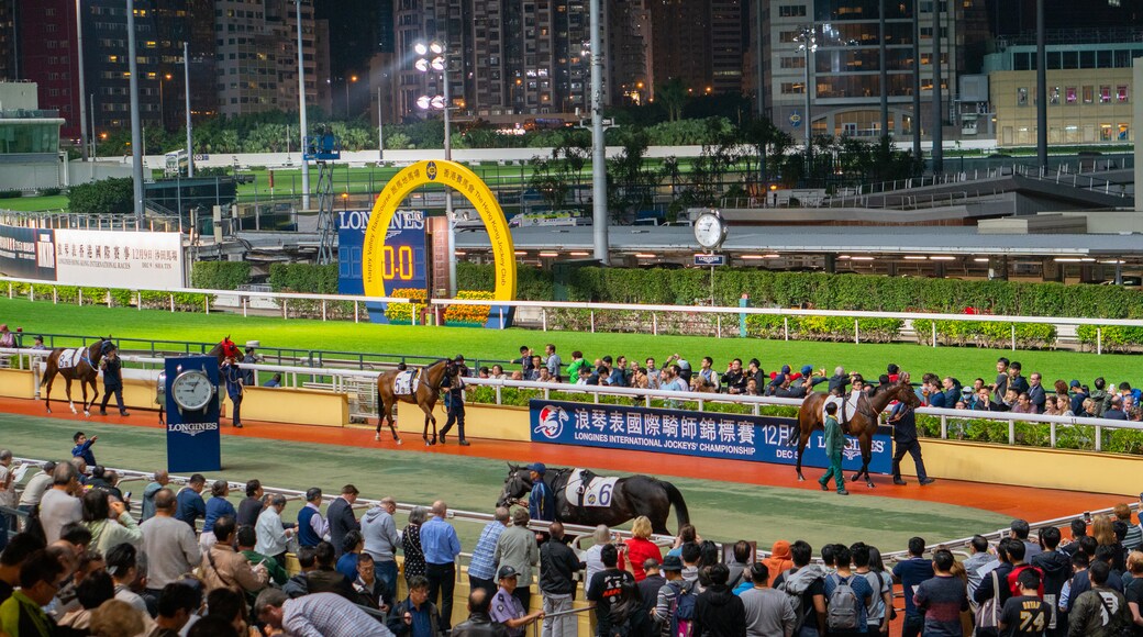 Happy Valley Race Course showing night scenes, horseriding and land animals