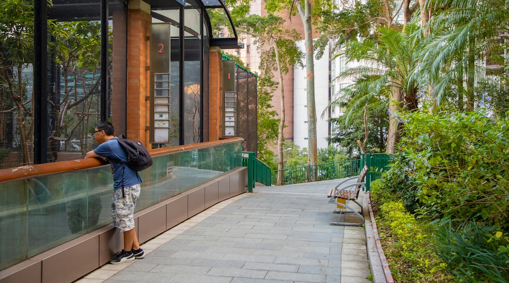 Kebun Binatang dan Taman Botani Hong Kong