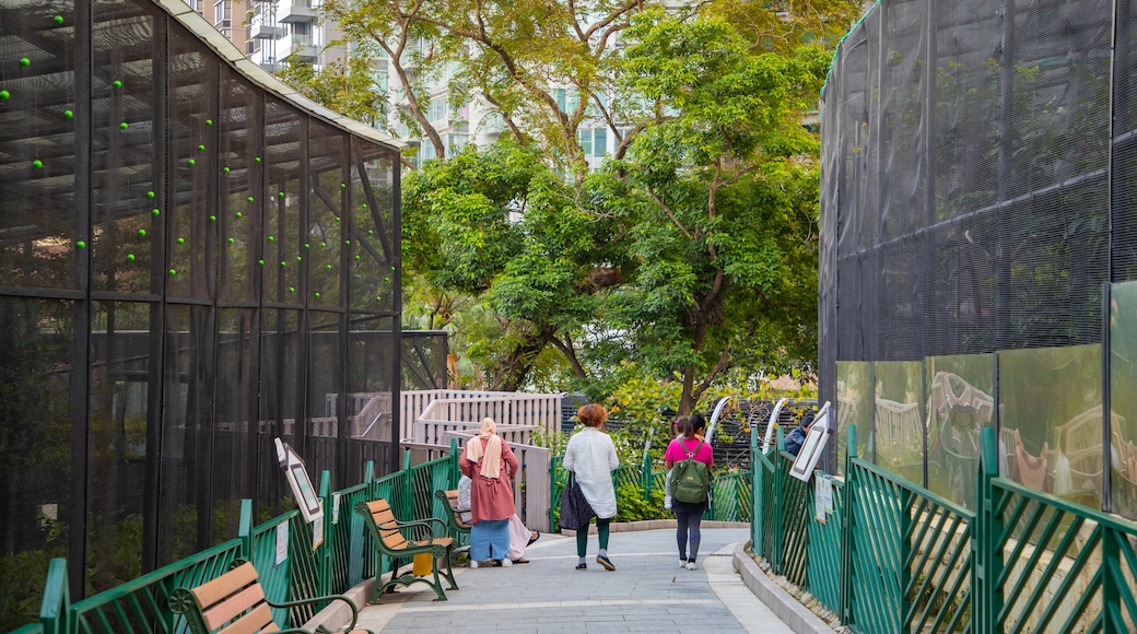 Hong Kong Zoo and Botanical Gardens showing zoo animals