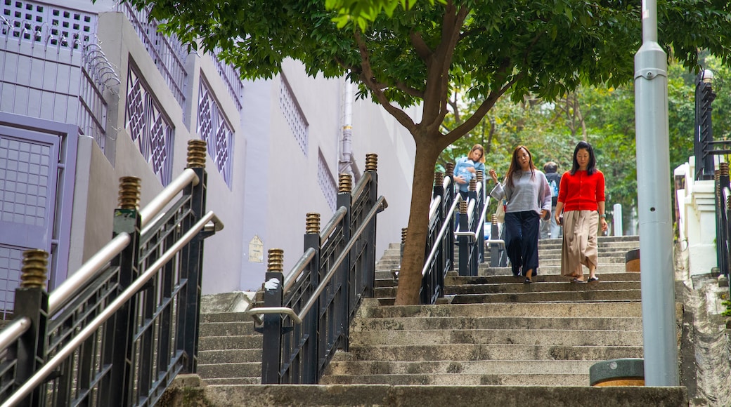 Ladder Street showing street scenes as well as a couple