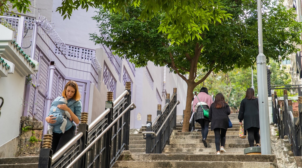 Ladder Street showing street scenes as well as a family