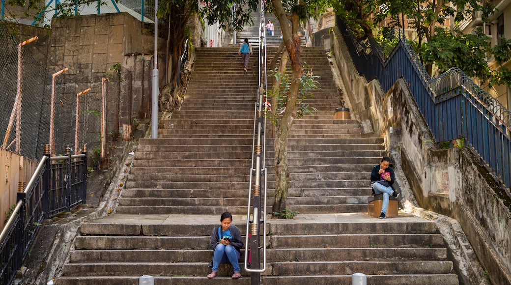 Ladder Street showing street scenes