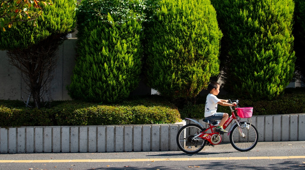 Urayasu showing cycling as well as an individual child