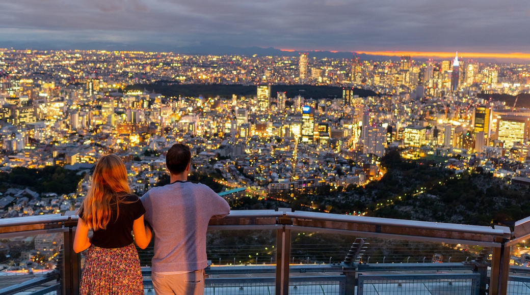 Tokyo featuring night scenes, landscape views and views