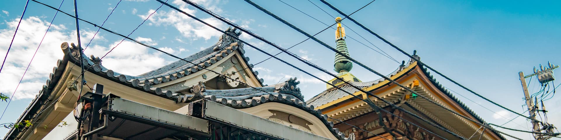 Shinshoji Temple showing heritage elements