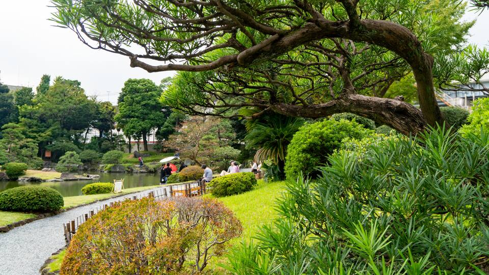 Kyu Yasuda Garden featuring a garden