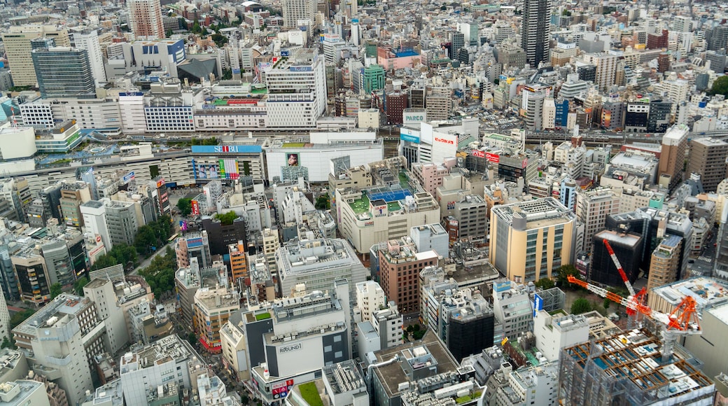 Nishiikebukuro