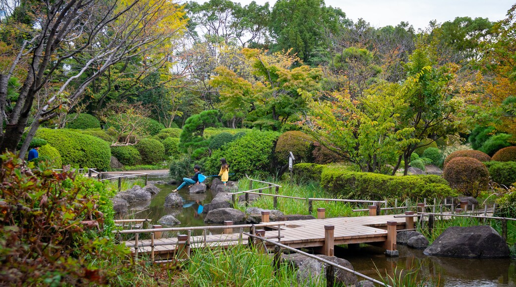 Heisei Garden featuring a garden