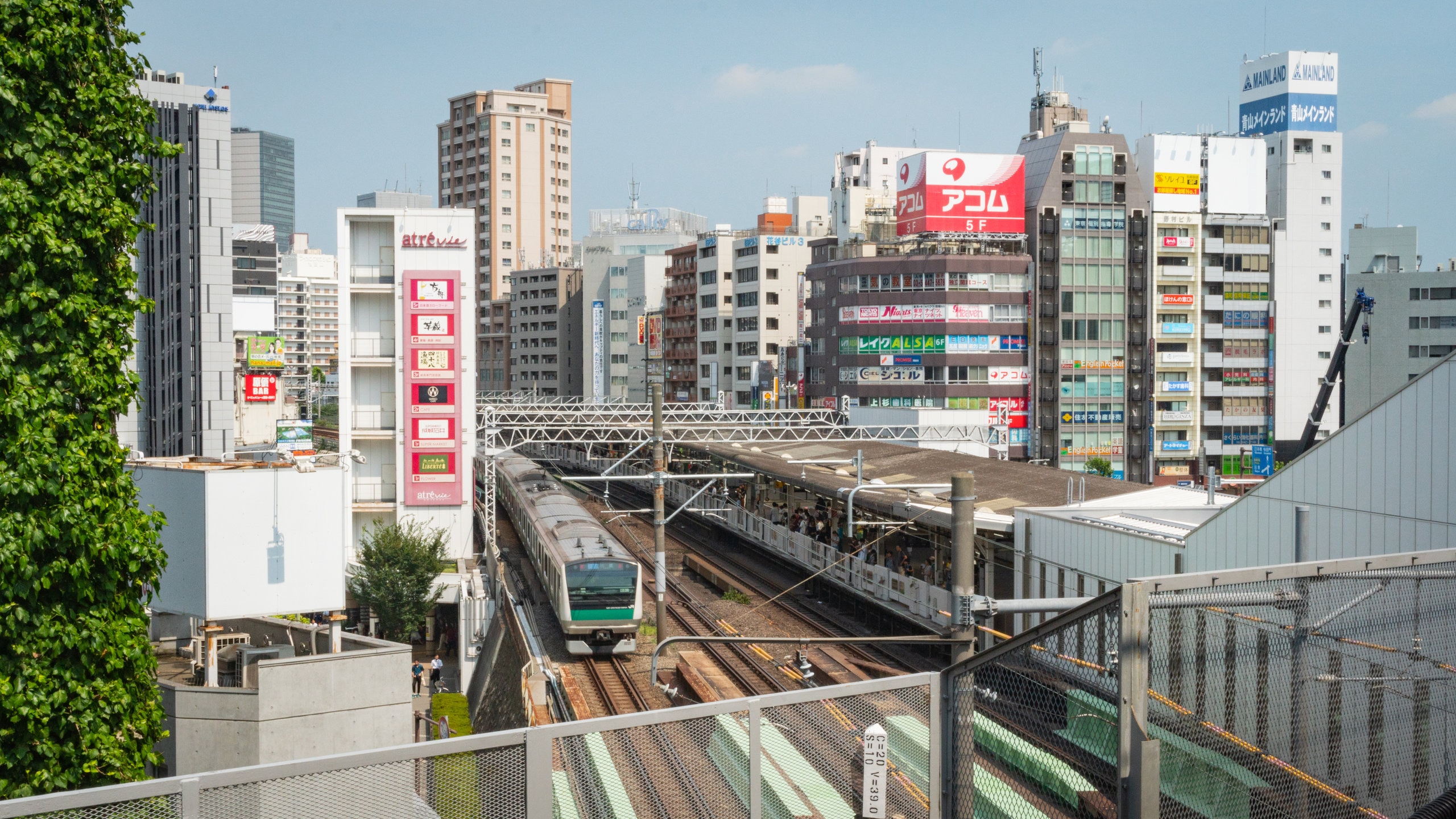 Visit Tokyo: 2024 Travel Guide for Tokyo, Tokyo Prefecture