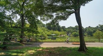 Omiya Park which includes a lake or waterhole and a garden