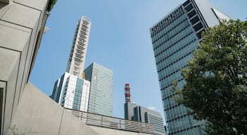 Saitama Super Arena showing a city and a high rise building