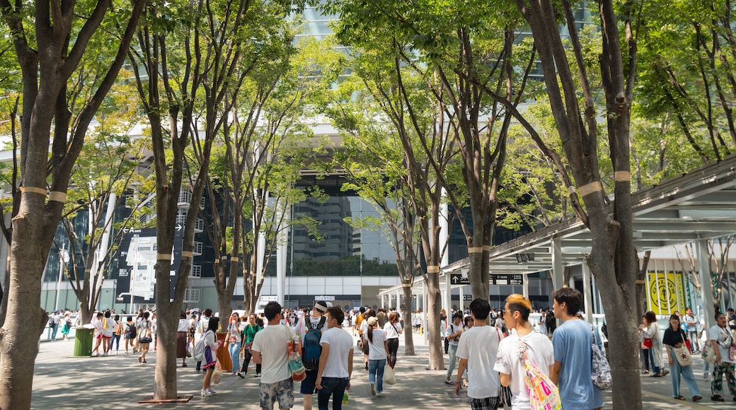 Keyaki Hiroba which includes street scenes