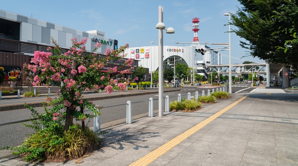 Saitama featuring wildflowers