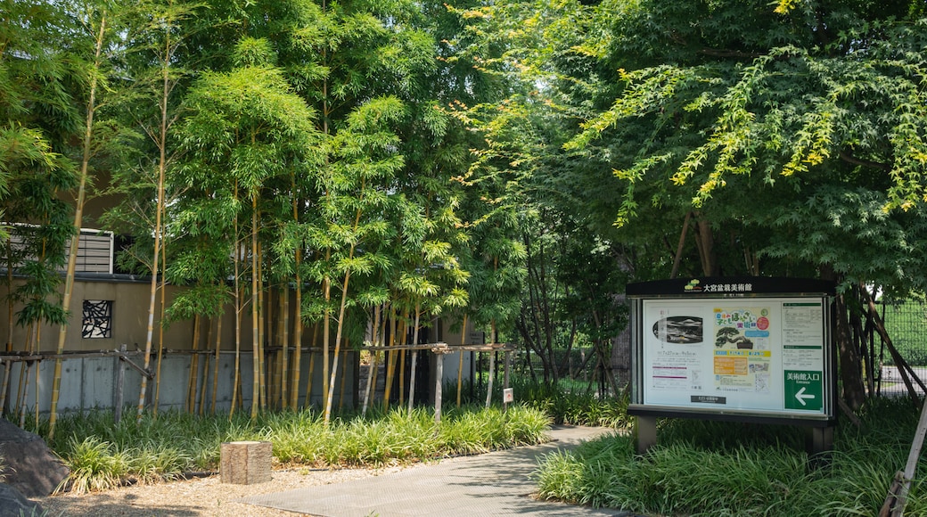 Omiya Bonsai Art Museum showing a park and signage