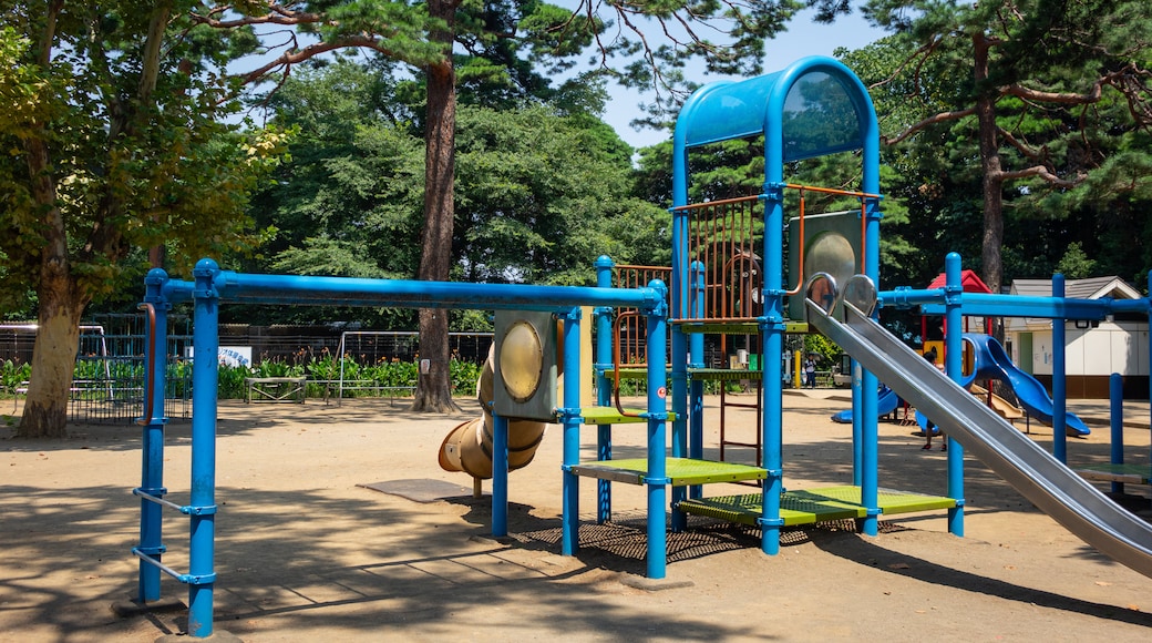 Omiya Park showing a playground