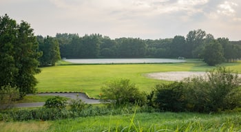 Akigase Park showing a sunset and a park